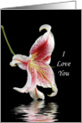 I Love You Greeting Card with Pink and White Asiatic Lily card