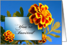 General Party Invitation with Marigold Flowers card