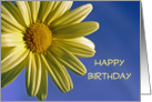 Birthday Greeting Card with Yellow Daisy Photo card