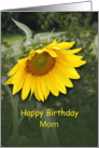 For Mom / For Mother Birthday Greeting Card-Yellow Sunflower card