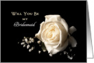 Be My Bridesmaid Bridal Party Invitation with White Rose card