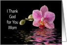 For Mom -Mother-Mother’s Day Greeting Card-Orchid and Reflection card