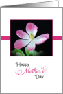 For Mom / For Mother Happy Mother’s Day Greeting Card-Pink Tulip card