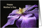 Mother’s Day Paper Greeting Card-Purple Clematis Flower card