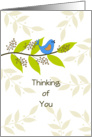 Bird on Branch Thinking of You Card