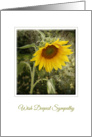 Sympathy Greeting Card-Sunflower Condolences card