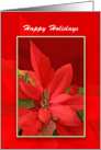 Red Poinsettia Christmas Greeting Card-Happy Holidays card