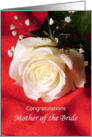 Congratulations Mother of the Bride Greeting Card-White Rose card