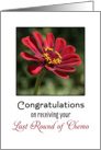 Last Round of Chemotherapy Greeting Card-Red Dahlia-Survivor card