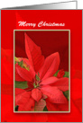 Business Christmas Greeting Card with Poinsettia-Merry Christmas card
