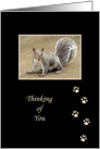 Thinking of You Squirrel Greeting Card with Paw Prints / Foot Prints card