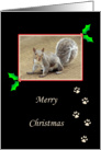Squirrel Christmas Card-Paw Prints-Foot Prints-Merry Christmas card
