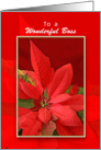 Boss Christmas Card with Poinsettia card