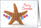 Starfish Christmas Greeting Card with Ornamen-Beach-Merry Christmas card