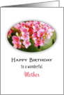 For Mom Birthday Greeting Card-Pink Kalanchoe Flowers card