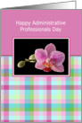 Administrative Professionals Day Greeting Card with Purple Orchid card