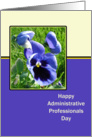 Administrative Professionals Day Greeting Card with Blue Pansy Flower card
