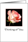 Thinking of You Greeting Card with Soft Pink Rose card