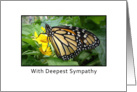 Sympathy Card Monarch Butterfly-Condolence card