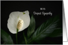 Sympathy Card - White Peace Lily Flower card