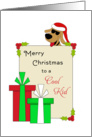 For Cool Kid Christmas Card-Dog Wearing Sunglasses-Christmas Presents card