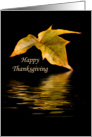 Thanksgiving Card with Fall Leaf and Reflection card