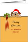 Grandson Christmas Greeting Card-Merry Christmas-Dog-Holly-Santa Hat card