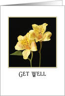 For Cancer Patient Encouragement Get Well Card-Life’s Path-Flowers card