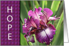 For Cancer Patient - Hope Encouragement Greeting Card with Purple Iris card