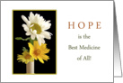 For Cancer Patient Hope Encouragement Greeting Card-Daisies, Flowers card