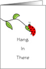Cheer Up-Hang In There Greeting Card with Lady Bug Hanging on a Leaf card