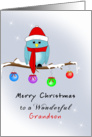 Grandson Christmas Card with Blue Bird, Red Hat, Scarf, Boots card