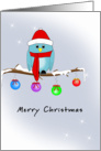 Christmas Card with Blue Bird, Red Hat, Scarf, Boots and Ornaments card