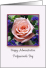 Administrative Professionals Day Greeting Card-Pink Rose card