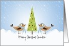 Grandson Merry Christmas Card-Boy Birds with Tree Customizable Text card