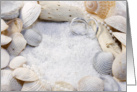 Beach Theme Note Card-Shells, Rings and Sand Blank Card