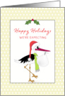 We’re Expecting Christmas Greeting Card-Pregnant-New Baby-Stork card