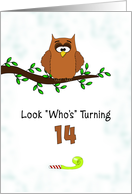 Birthday Greeting Card for Fourteen Year Old-14th Birthday-Owl card