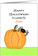 For Son Halloween Card with Pumpkin and Black Spider card