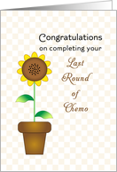 Last Round of Chemotherapy Card with Sunflower in Flower Pot card