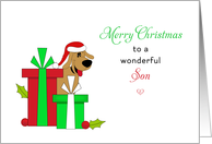 For Son Christmas Card-Brown Dog-Santa Hat-Christmas Presents card