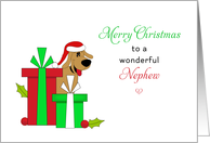 For Nephew Christmas Card-Brown Dog-Santa Hat-Christmas Presents card
