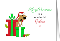 For Godson Christmas Card-Brown Dog-Santa Hat-Christmas Presents card