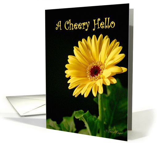 A Cheery Hello Greeting Card with a Yellow Gerbera Daisy card (164121)