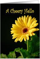 A Cheery Hello...