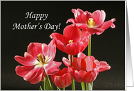 Happy Mother’s Day Greeting Card with Pink Tulips card