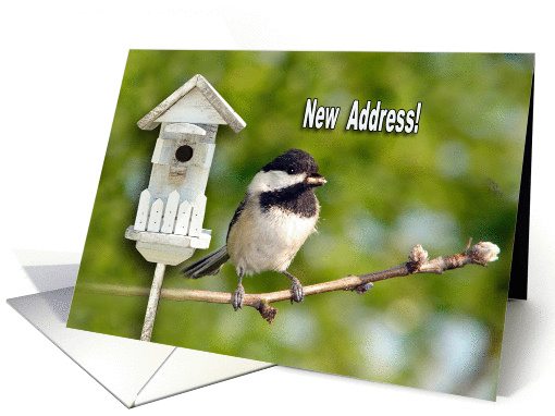 New Address Announcement Greeting Card with Chickadee and... (188355)