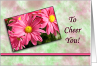 To Cheer You = Pink Daisies card