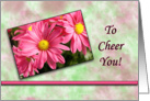 To Cheer You = Pink Daisies card