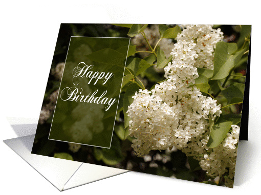 Happy Birthday - White Lilacs card (201352)